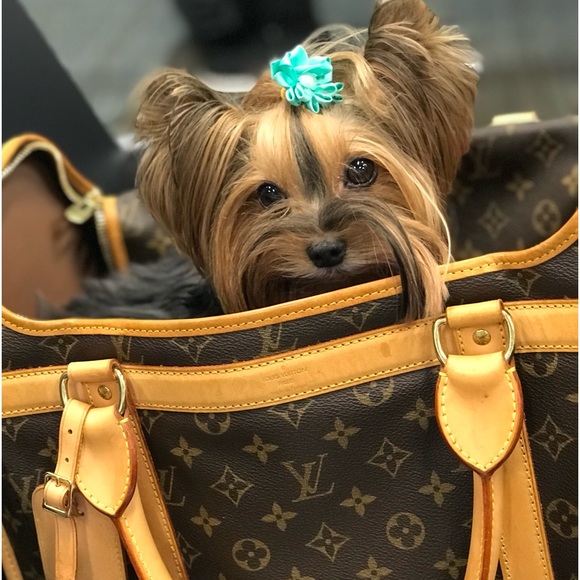 Meet your Posher, Kaycee - Picture 2 of 2